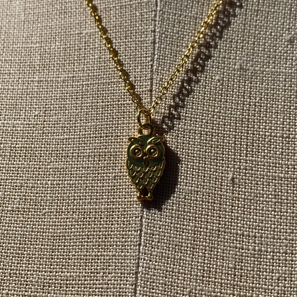 NWT Sterling Silver Plated Chain & Alloy Owl Charm Necklace - Picture 3 of 11